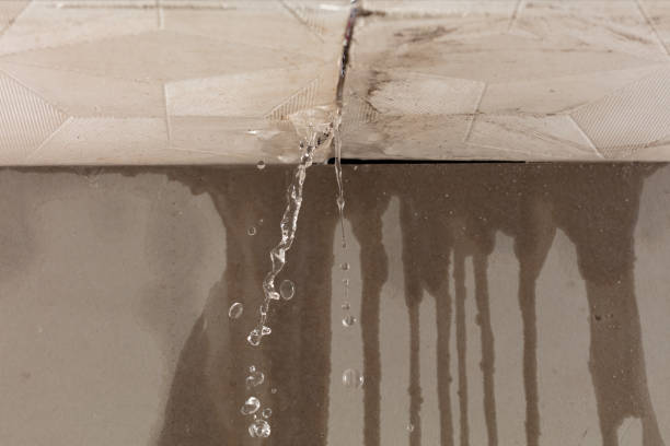 Professional Structural Drying technician working in Crawford, TN